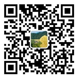 1分快3全天精准计划